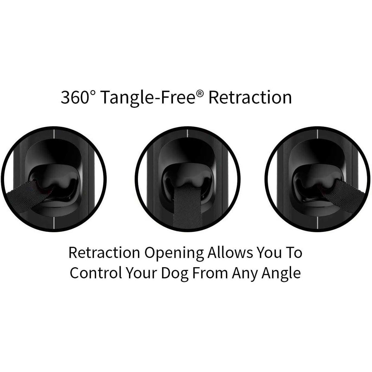 Retractable Dog Leash T636875