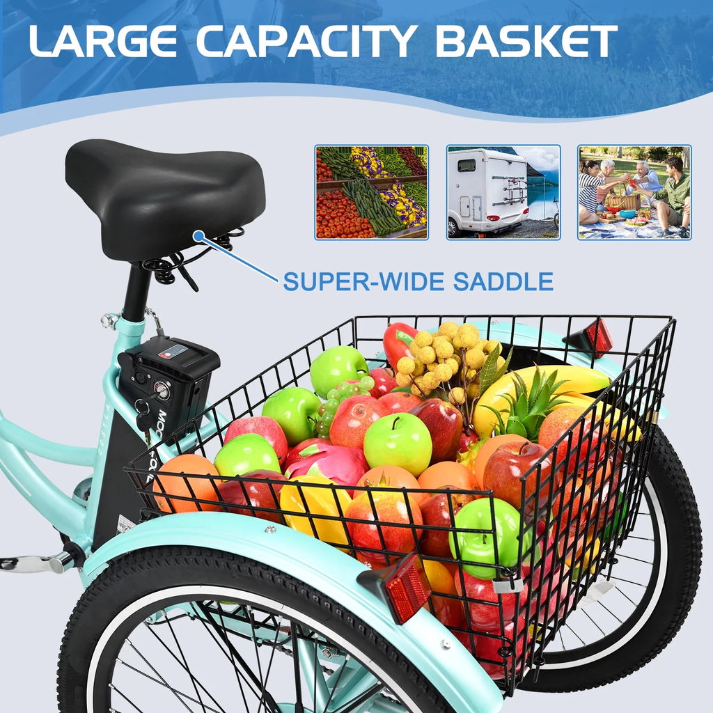 3 Wheel Electric Bike with Removable 36V 10Ah Lithium Battery E81648