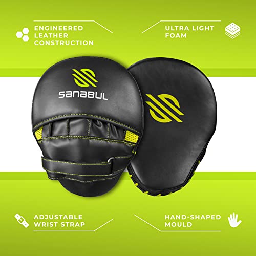 Curved Punching Mitts for Boxing M4898