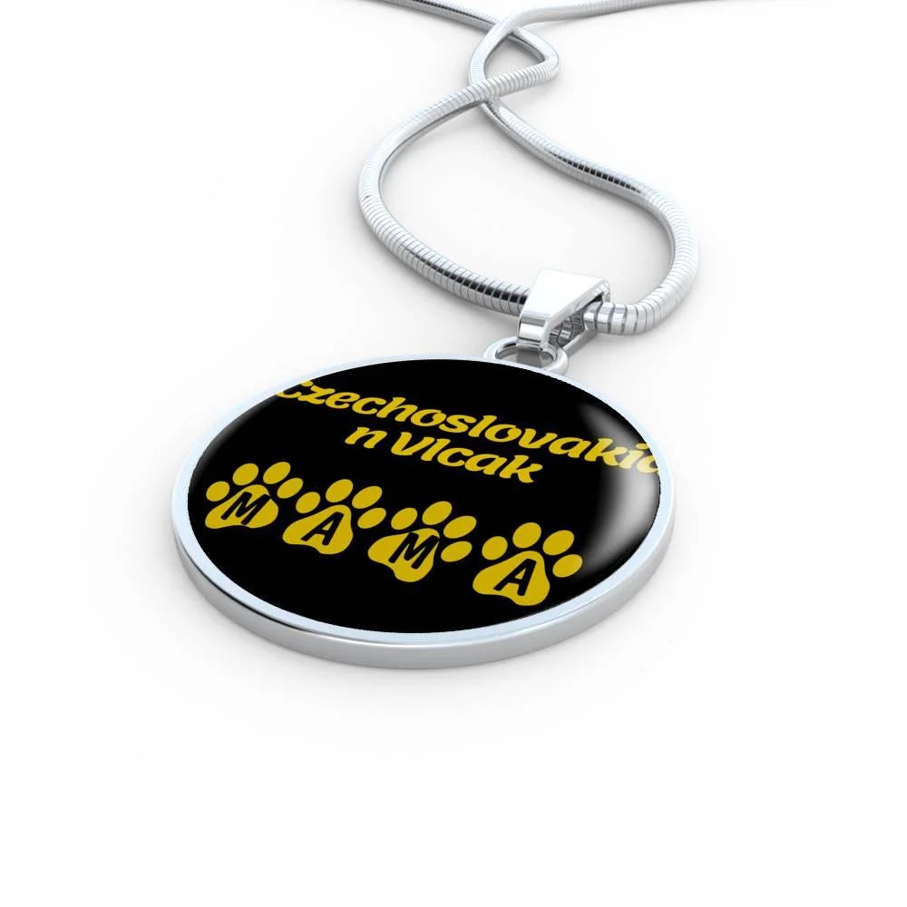 Stainless Steel or 18k Gold Necklace C669