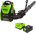 80V 610 CFM Brushless Backpack Blower with 2.5 Ah Battery & Charger E884594