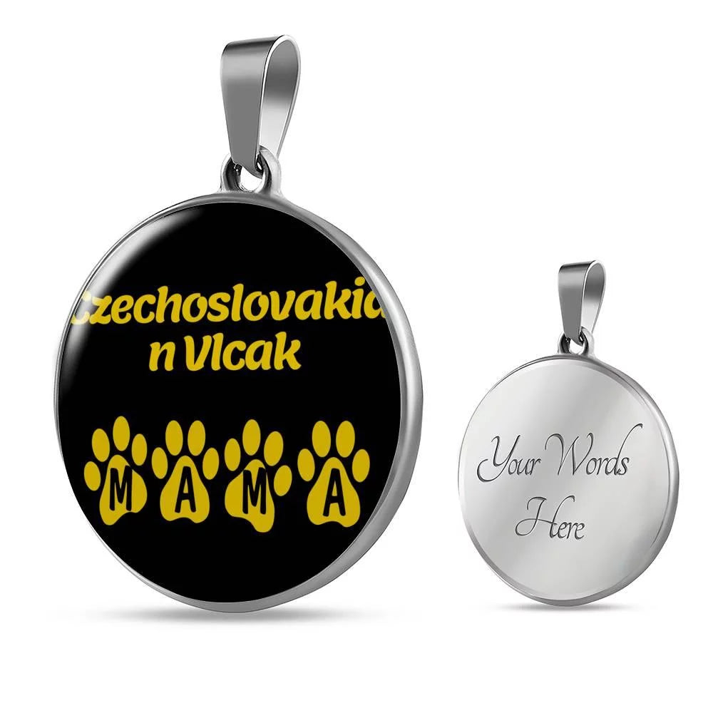 Stainless Steel or 18k Gold Necklace C669