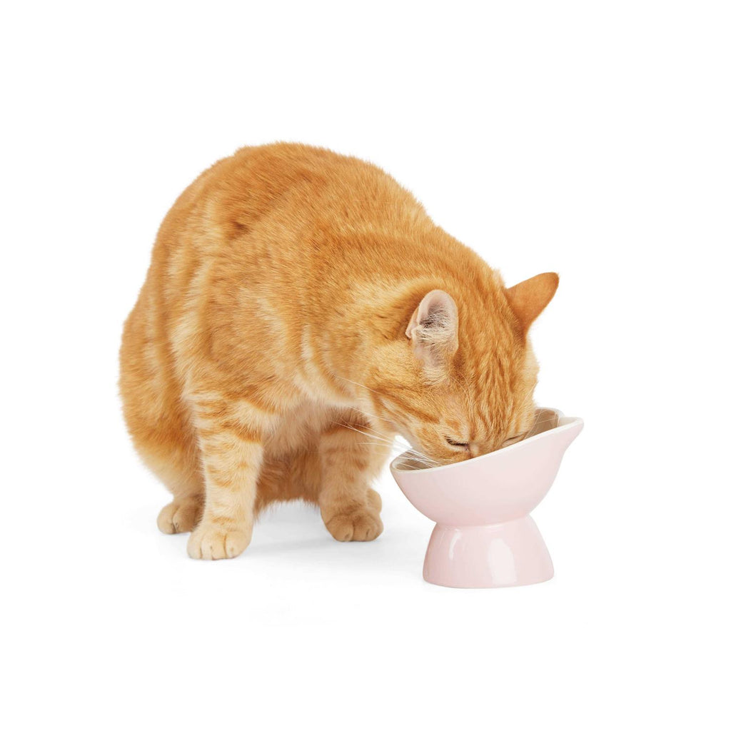 Elevated Cat Ear Bowl T480