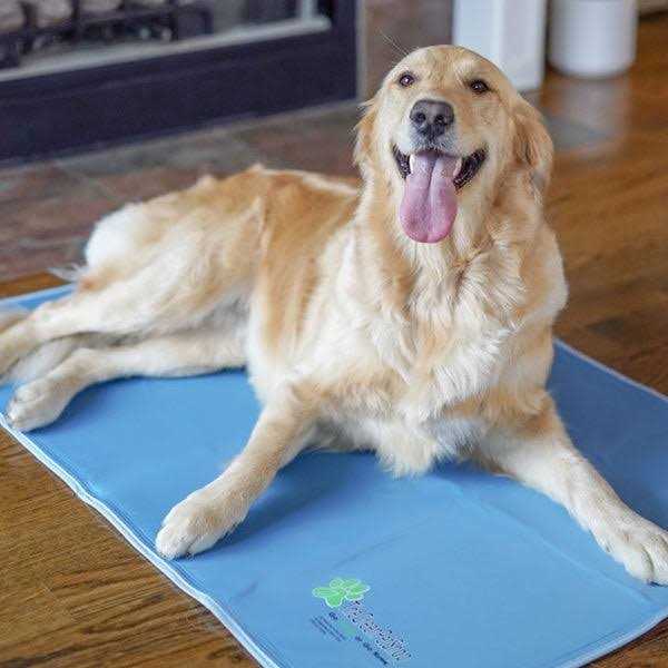 Cool Pet Pad V962