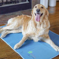 Cool Pet Pad V962