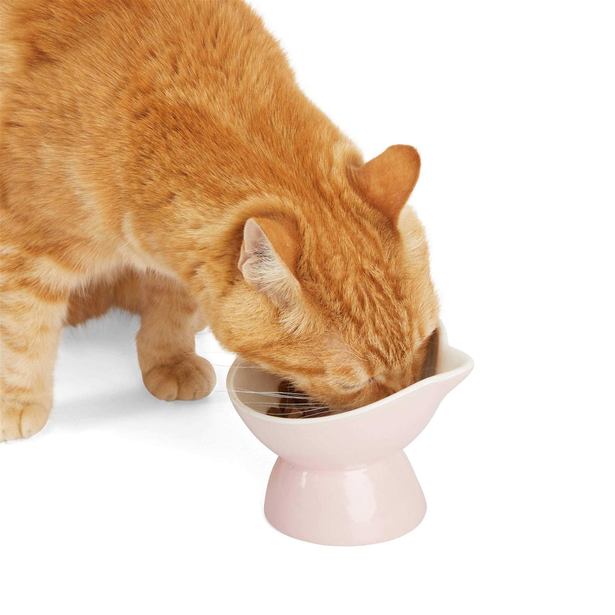Elevated Cat Ear Bowl T480