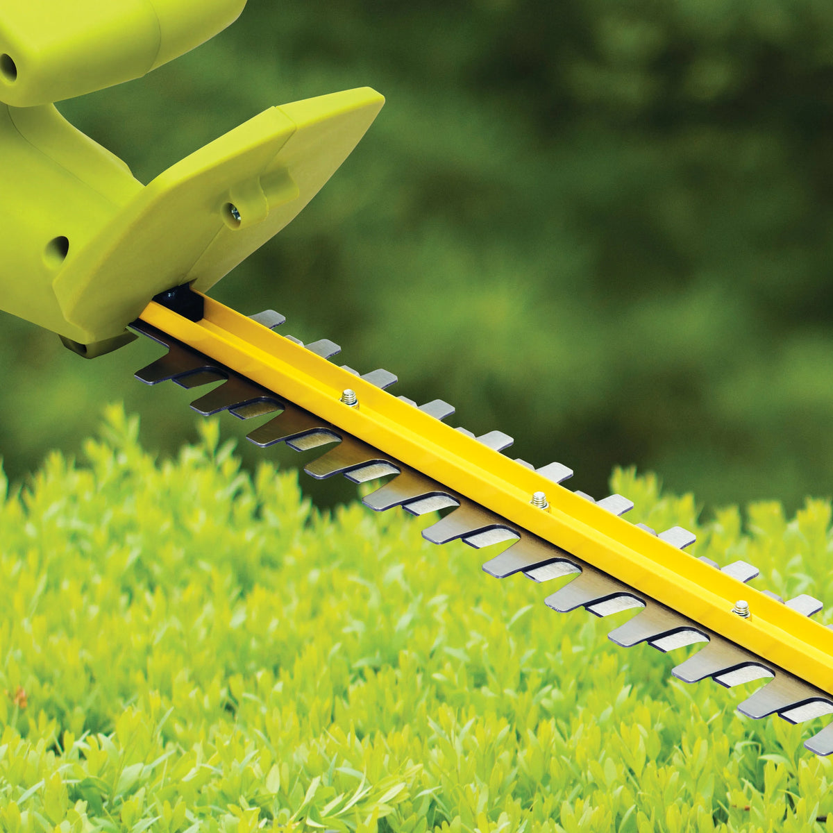 Electric 22" Dual-Action Hedge Trimmer P522781