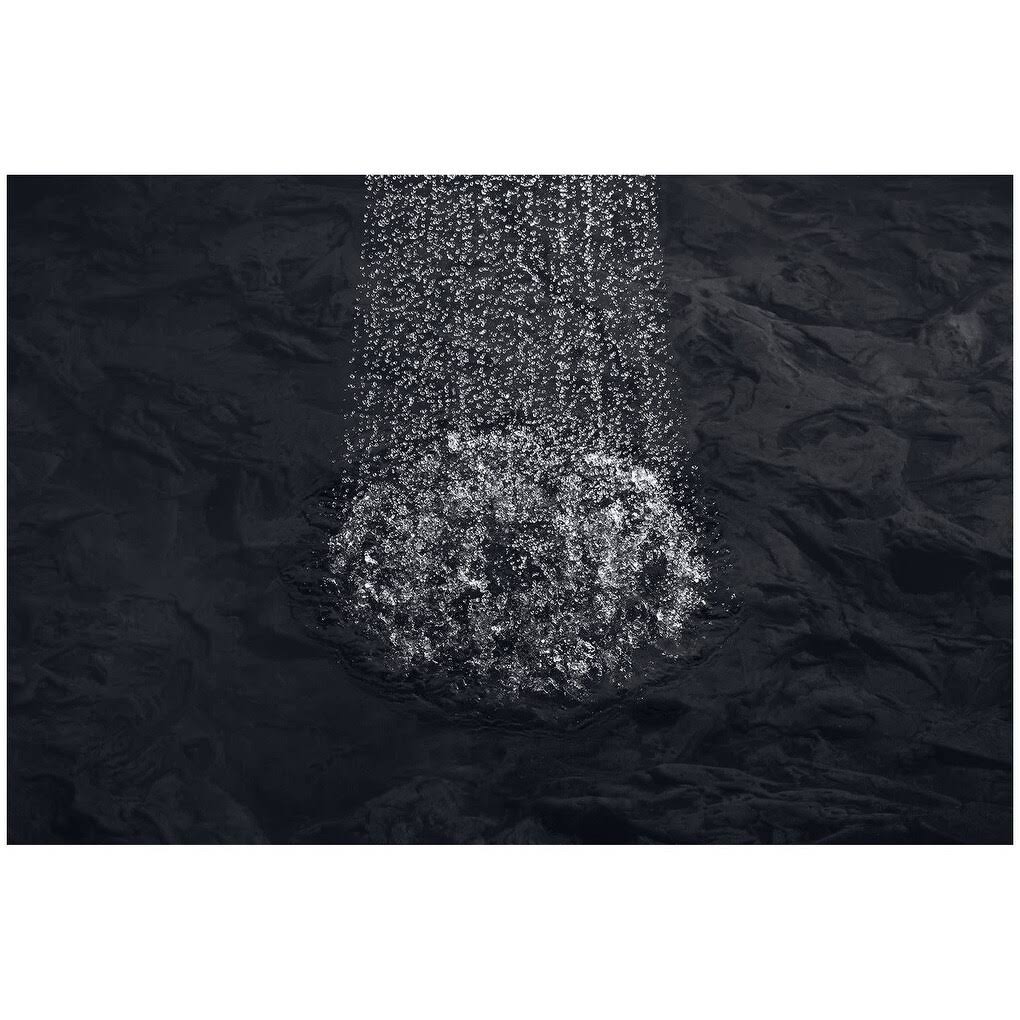2.5 GPM Single Function Shower Head G725931