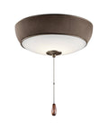 1 LED Bluetooth Audio Light Kit Satin Natural Bronze W77621