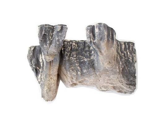 Log Set J692