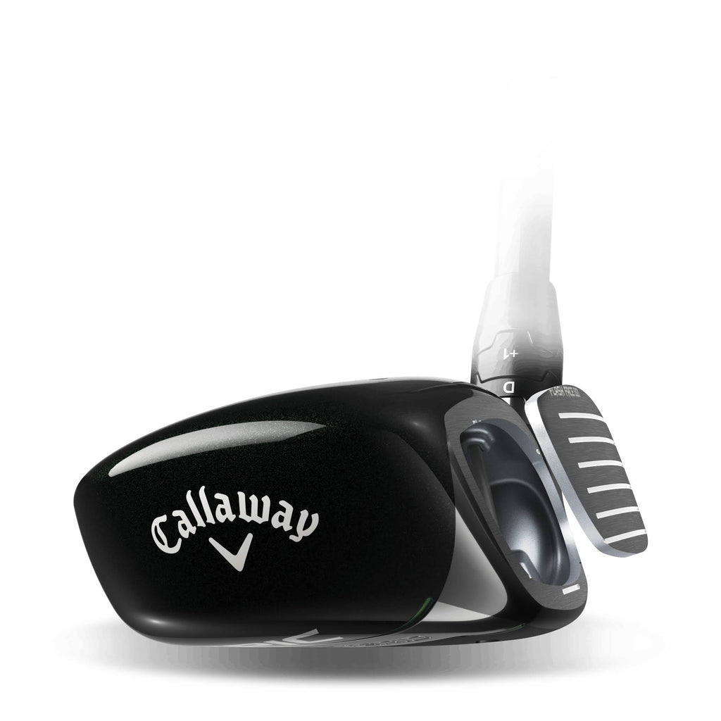 Hybrid V386916