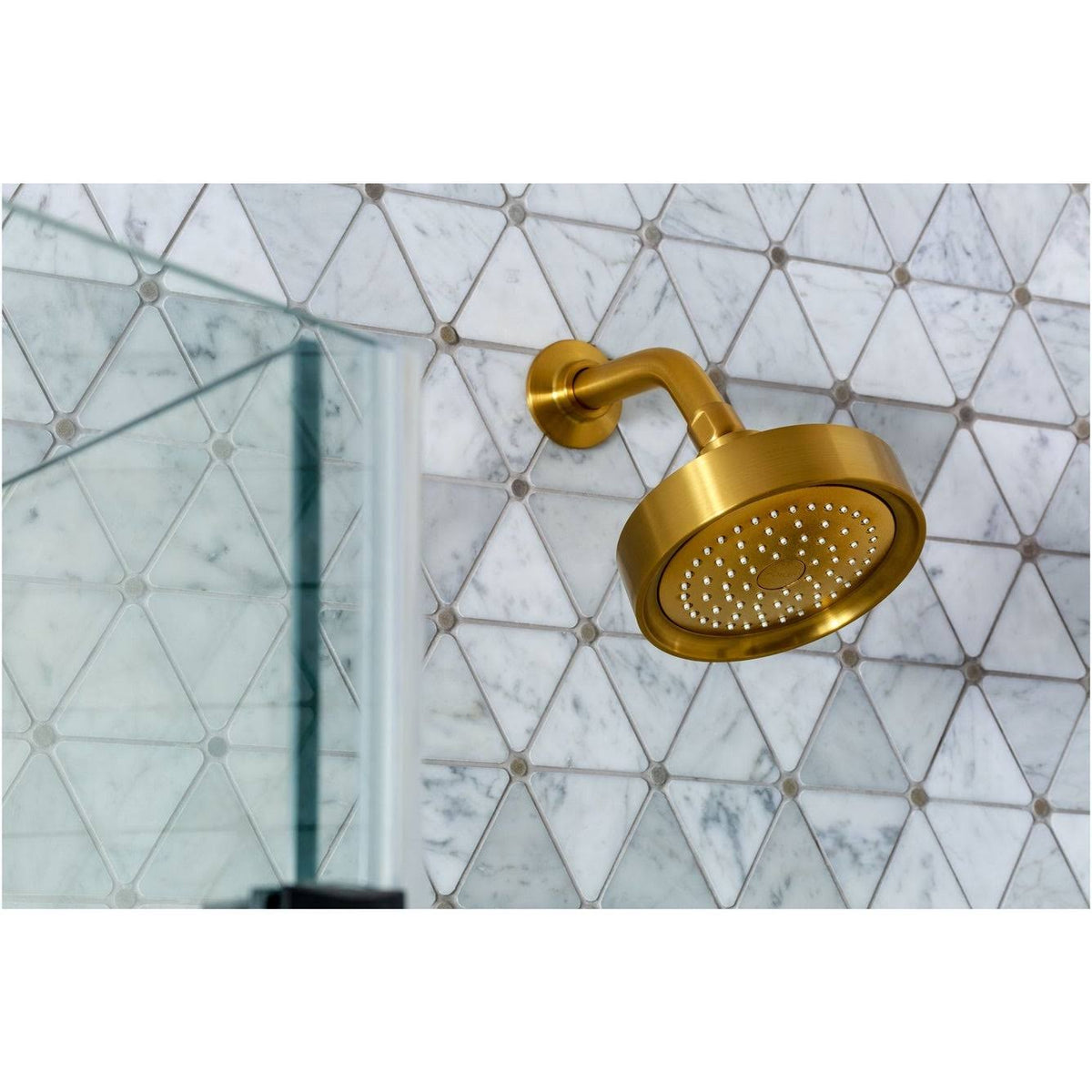2.5 GPM Single Function Shower Head G725931