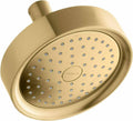 2.5 GPM Single Function Shower Head G725931