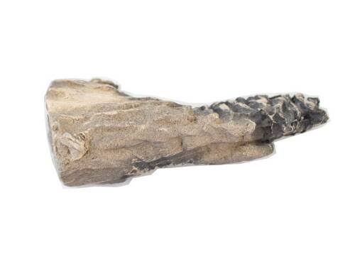 Log Set J692