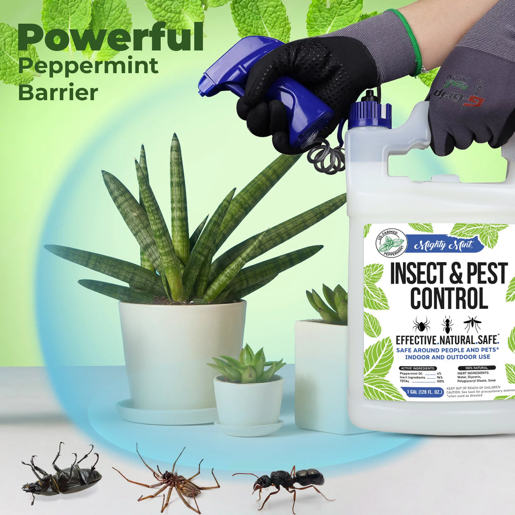 Peppermint Oil Insect & Pest Control Spray V5259