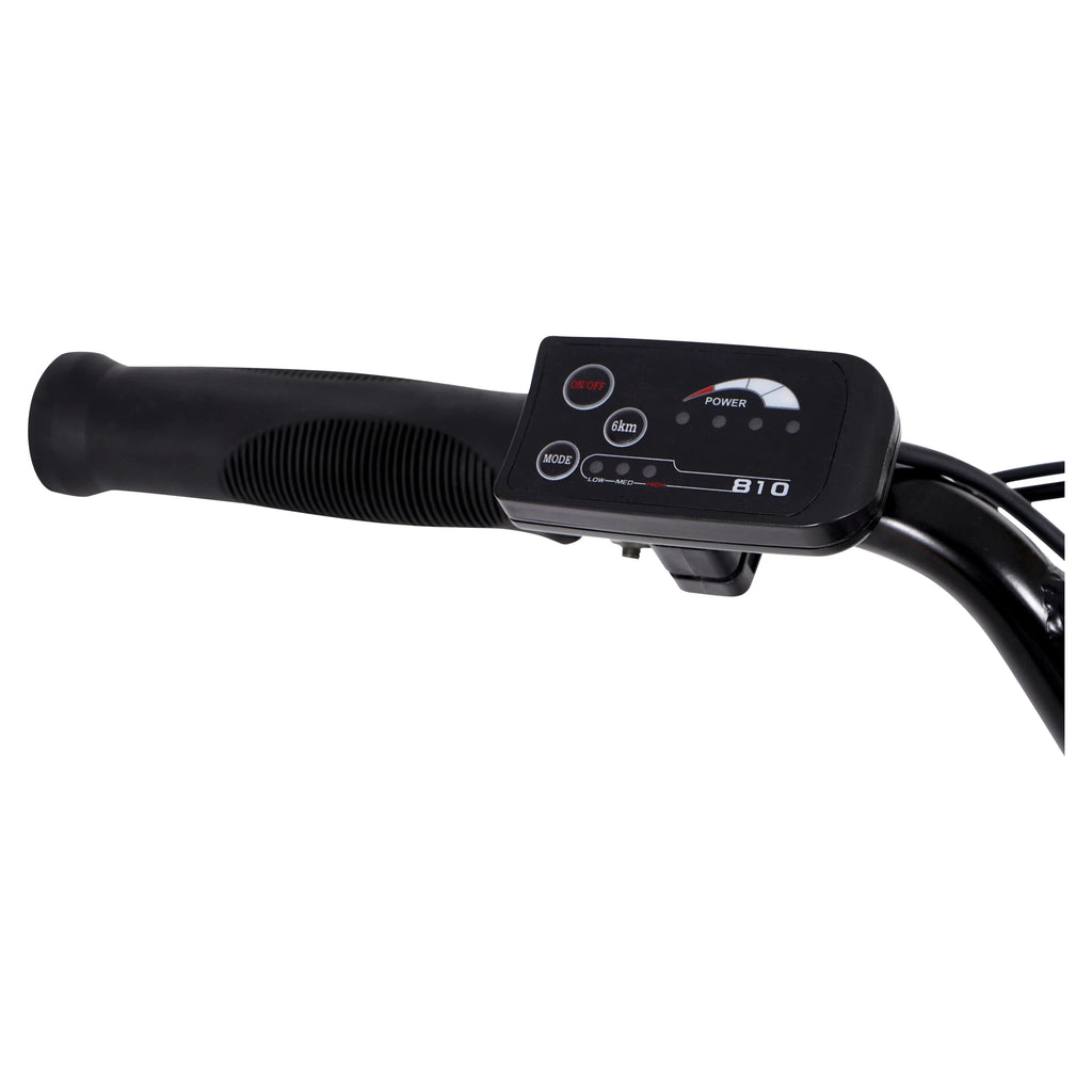 20 36V 250W Electric Bike Matte Black L4147