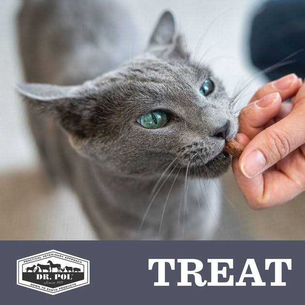 Freeze Dried Cat Treat and Meal Topper Q93069