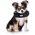 Dog & Cat Recovery Collar F208