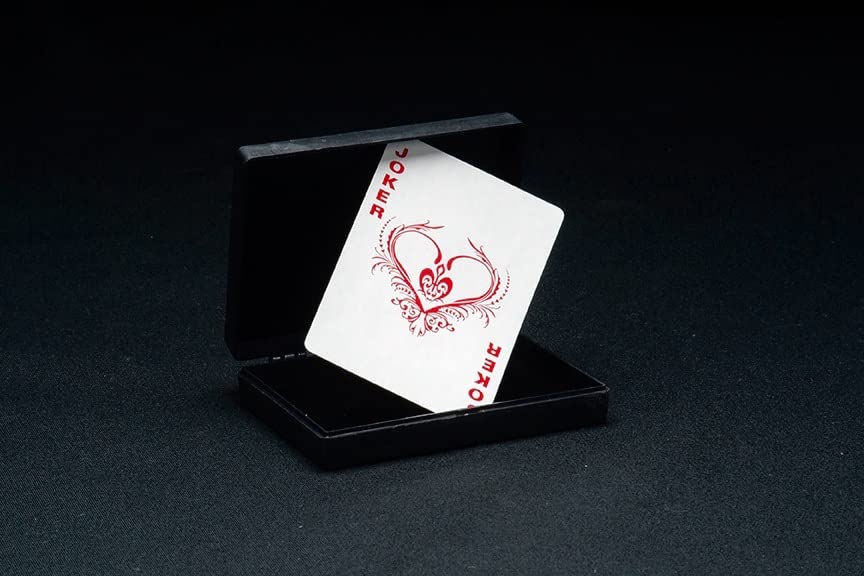 Professional Magic Kit with Magic Wand T577