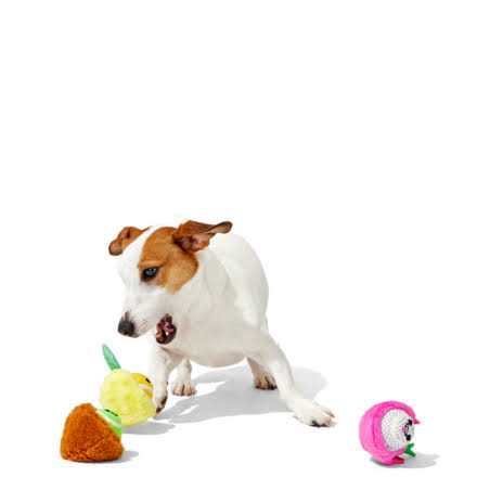 Dog Toys Squeaker Ball Toys V8793