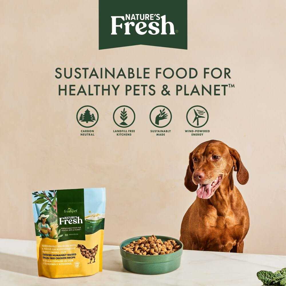 Grain Free Turkey Recipe Dog Food H95639