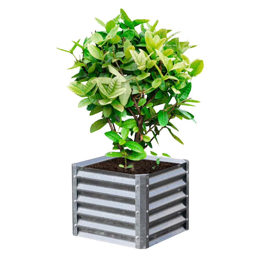 Galvanized Raised Garden Bed W489332