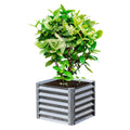 Galvanized Raised Garden Bed W489332