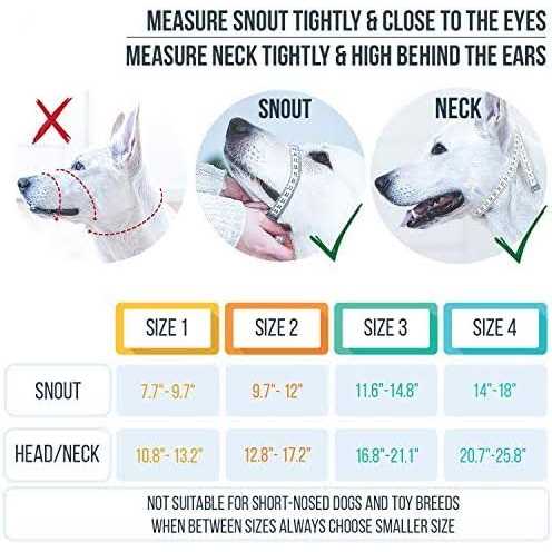 Dog Head Halter with Safety Strap L517146