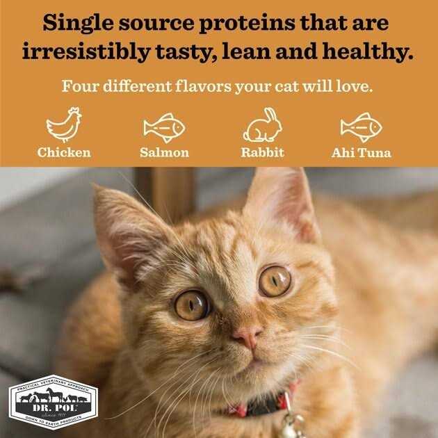 Freeze Dried Cat Treat and Meal Topper Q93069