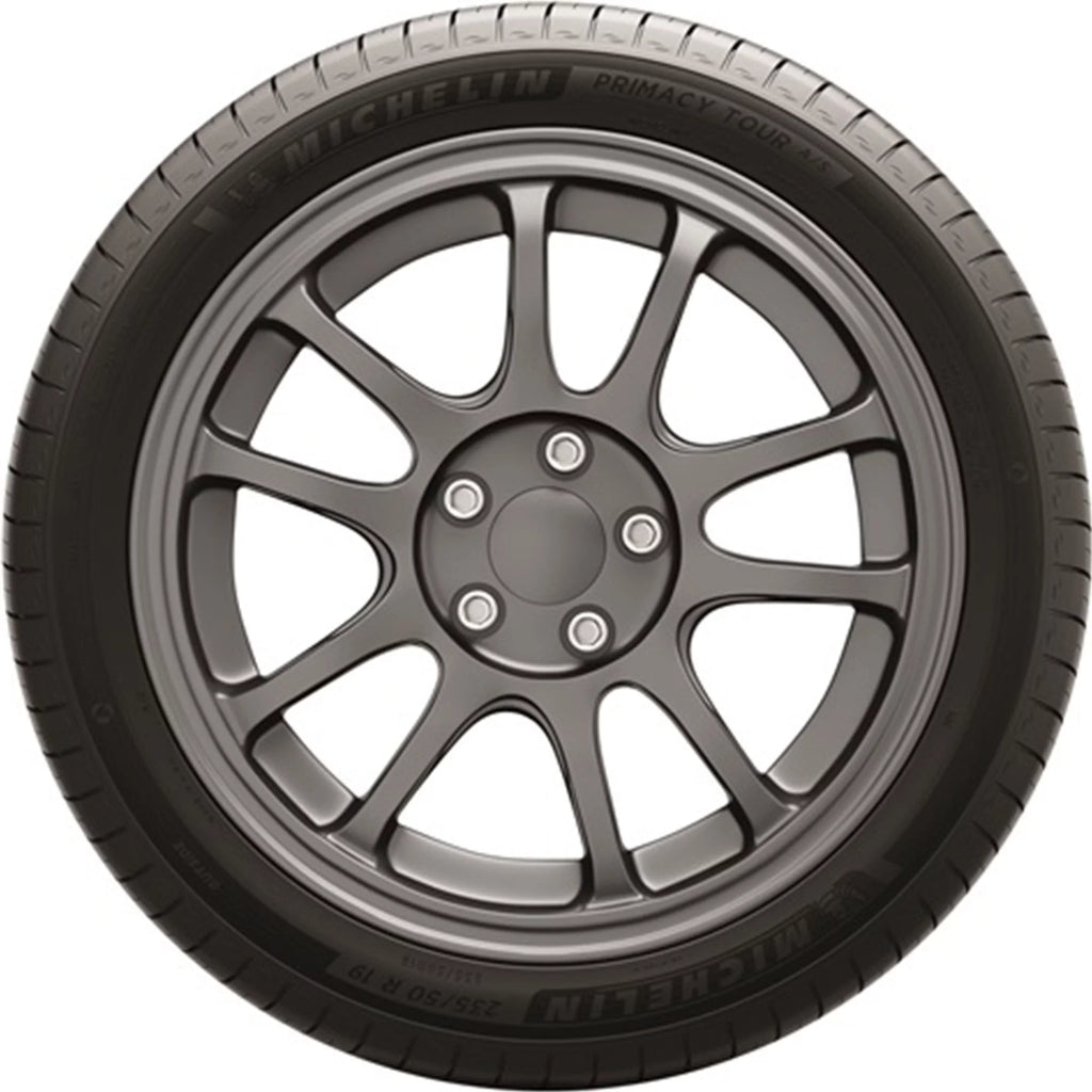 All Season 255/40R19 100V XL Passenger Tire Z1065