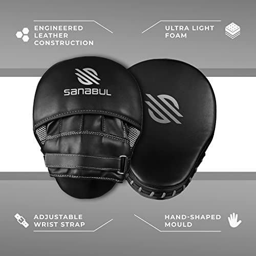 Curved Punching Mitts for Boxing M4898