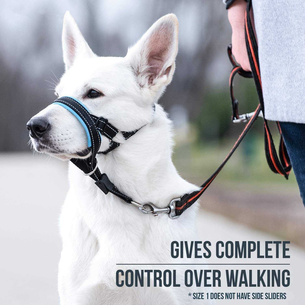 Dog Head Halter with Safety Strap L517146