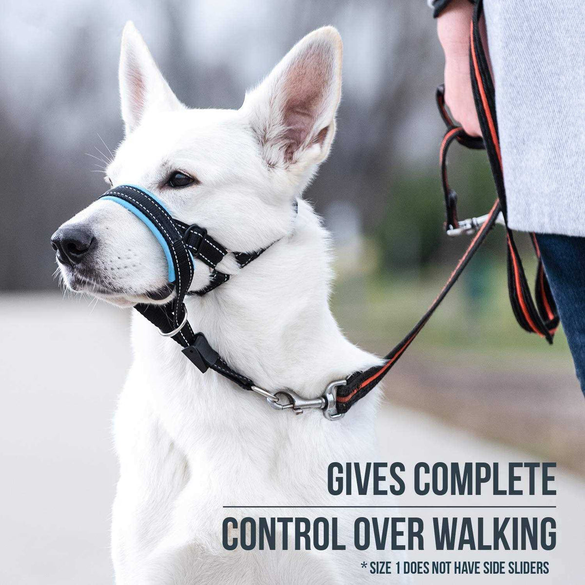 Dog Head Halter with Safety Strap L517146