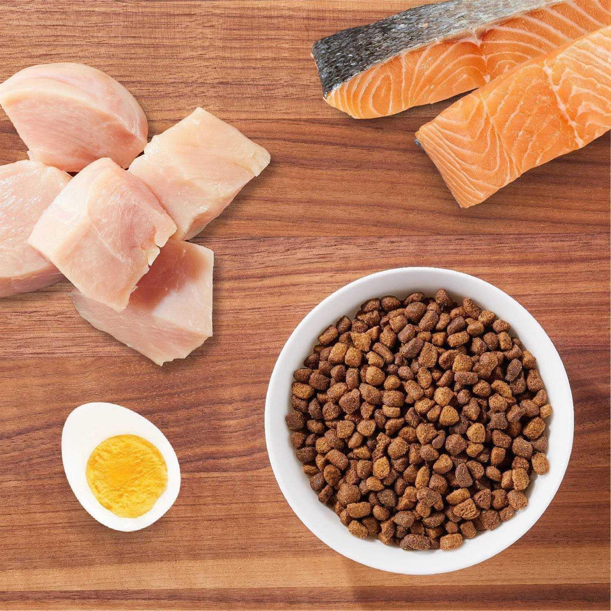 Salmon Adult Dry Cat Food B67554