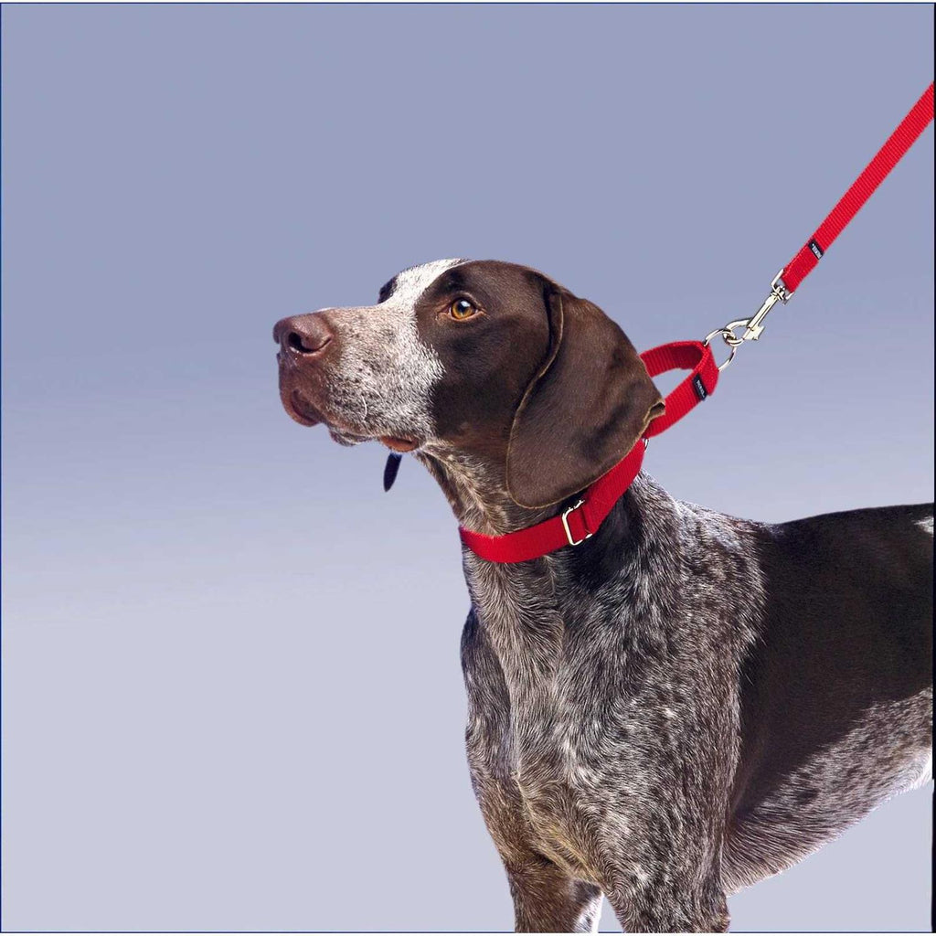 Martingale Collar V7372