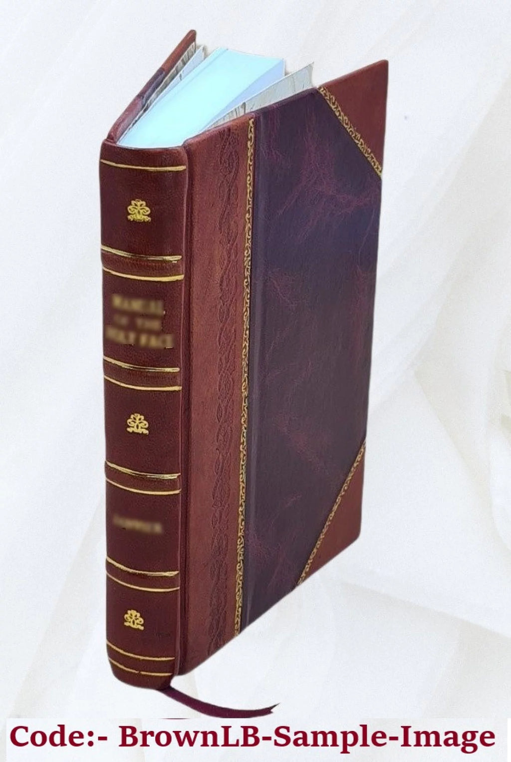 Leather Bound Illustrated Nouvelles E309988