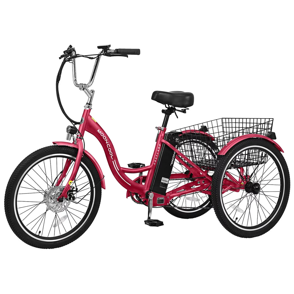 3 Wheel Electric Bike with Removable 36V 10Ah Lithium Battery E81648