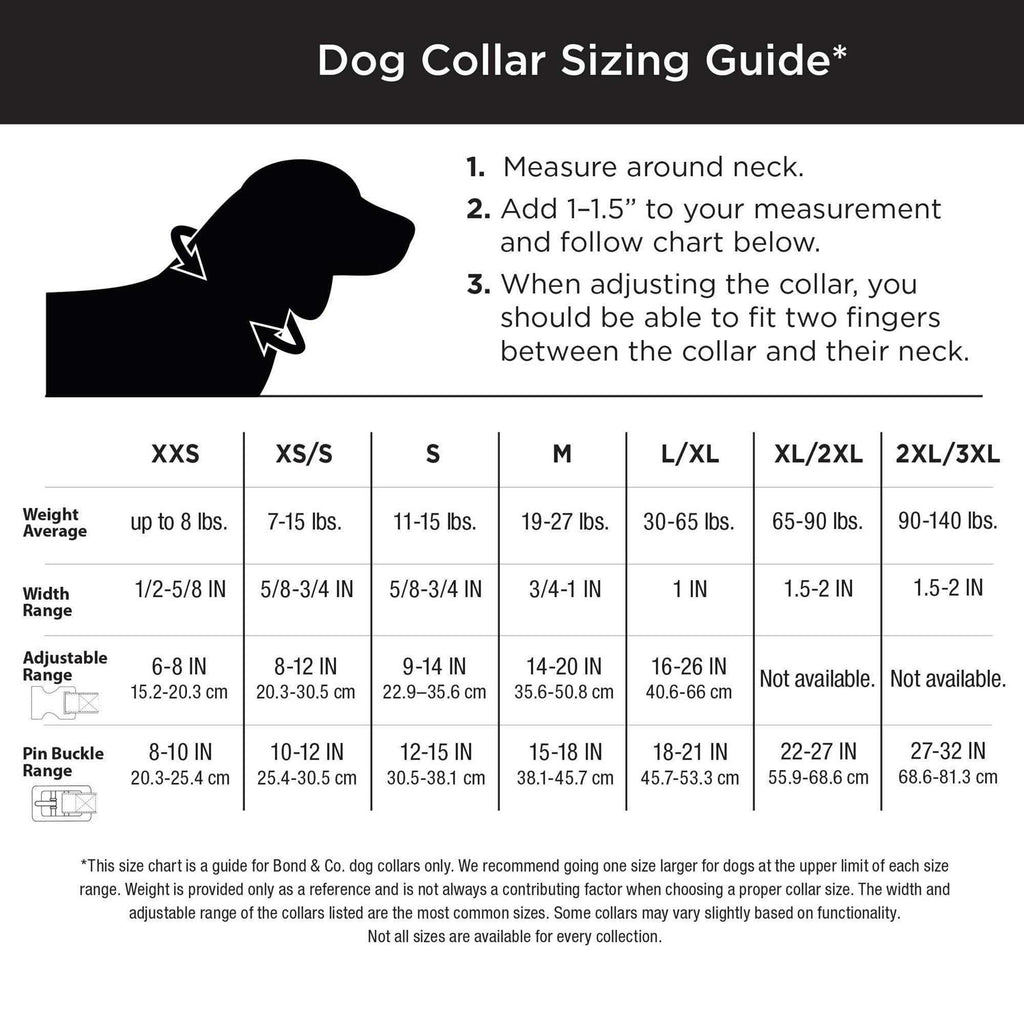 Purple Ombre Wipeable Dog Collar N729624