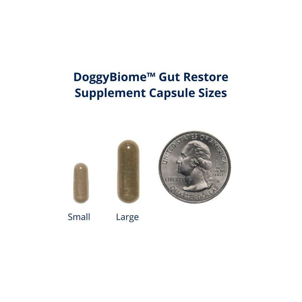 30 Capsules Supplement O70479