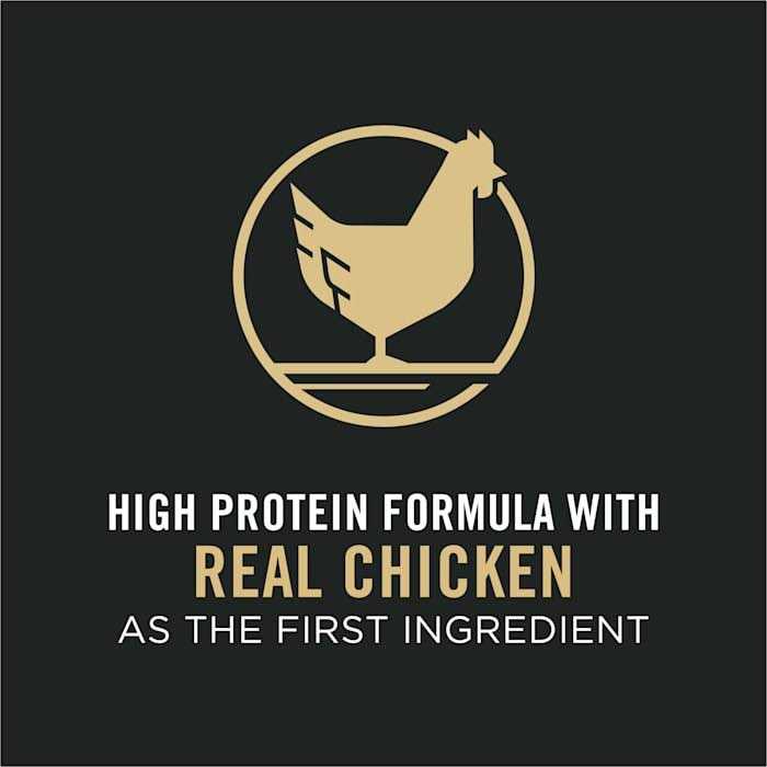 Chicken and Rice Formula Senior Dry Cat Food H334