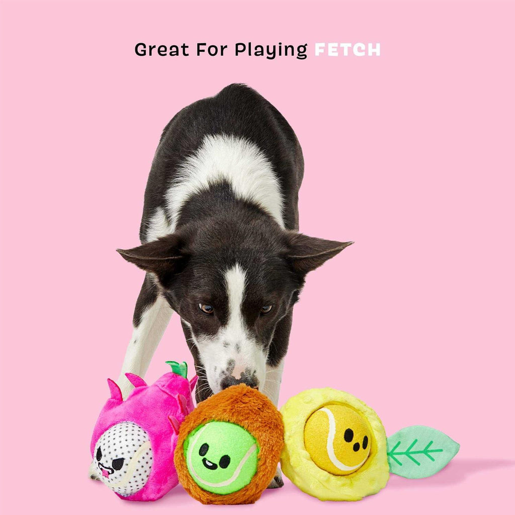Dog Toys Squeaker Ball Toys V8793