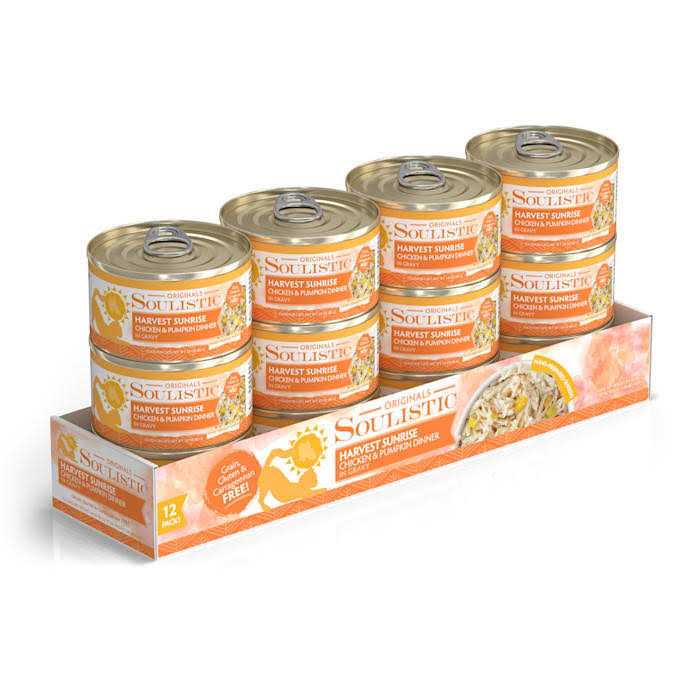 Chicken & Pumpkin Dinner in Gravy Wet Cat Food T69882