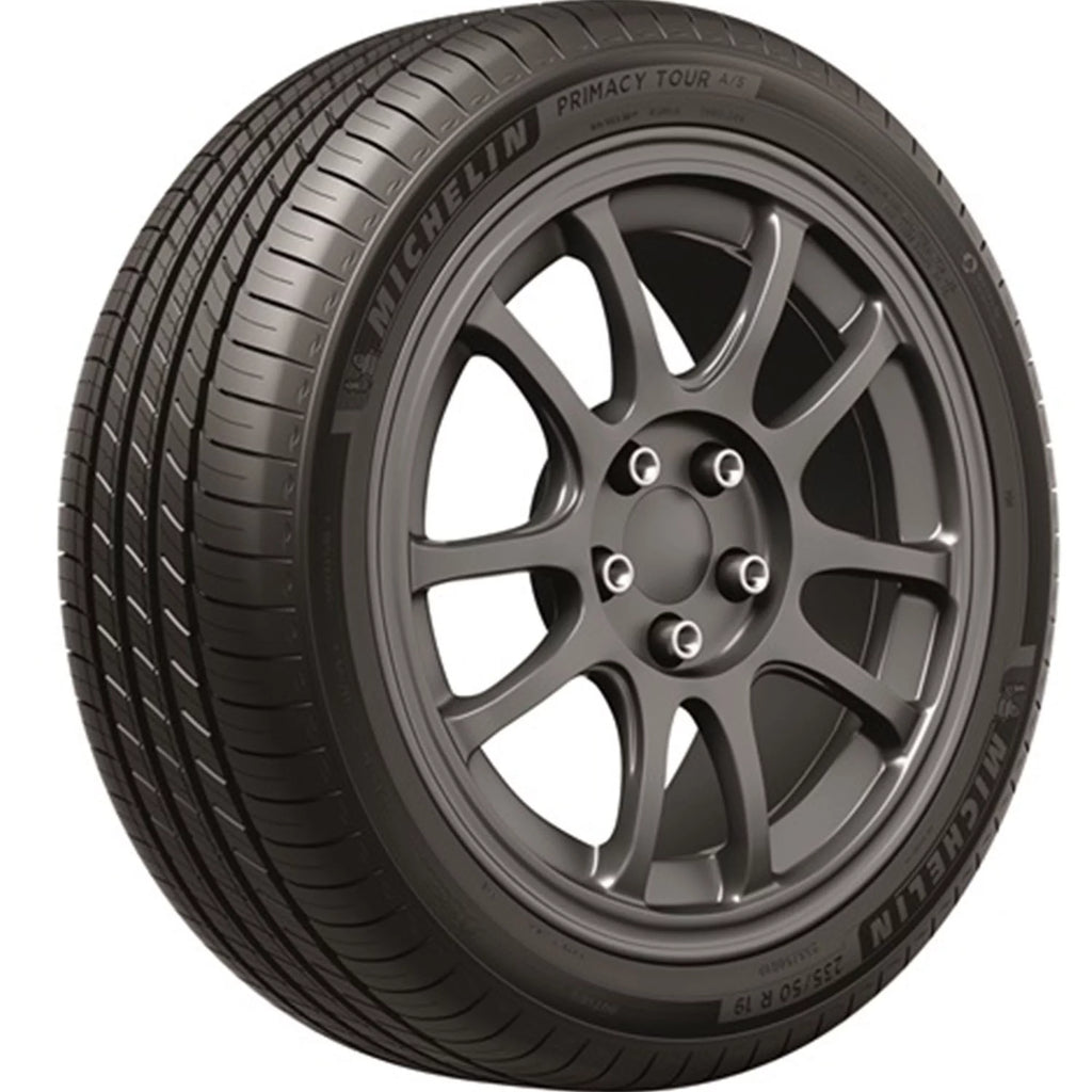 All Season 255/40R19 100V XL Passenger Tire Z1065