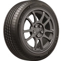 All Season 255/40R19 100V XL Passenger Tire Z1065
