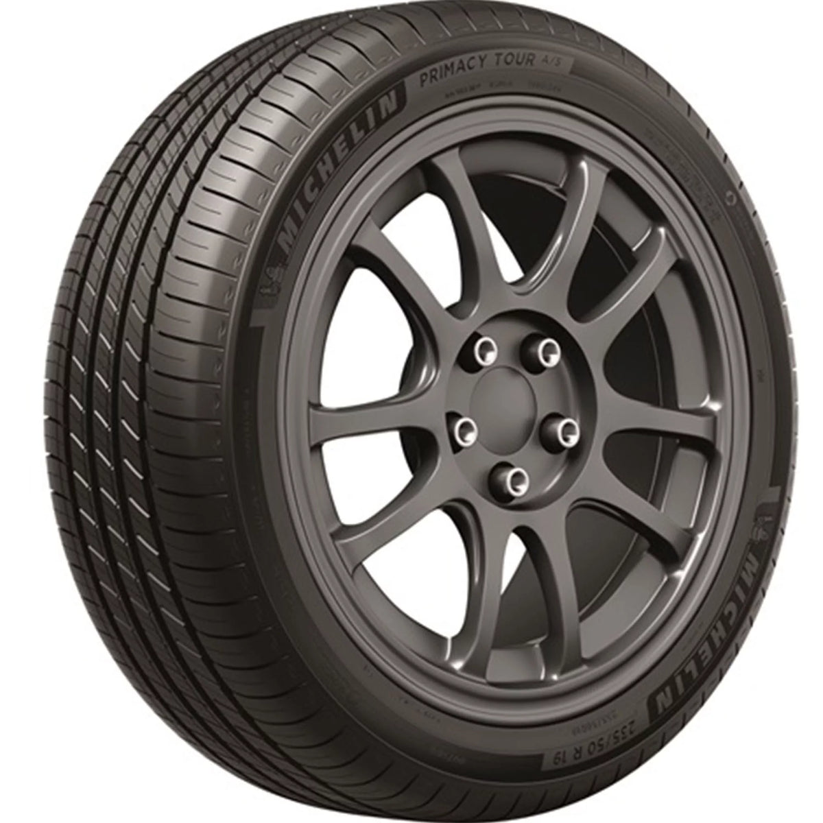 All Season 255/40R19 100V XL Passenger Tire Z1065
