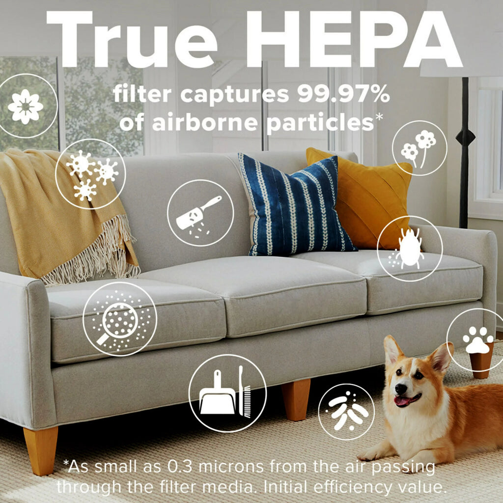 Large White Carbon True HEPA Air Purifier T950055