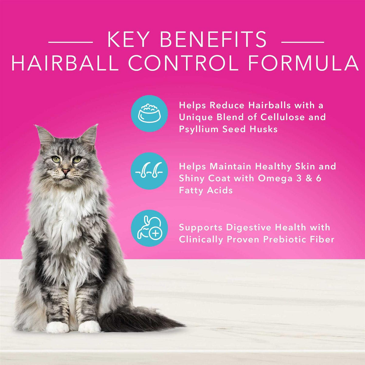 Adult Dry Cat Food J394161