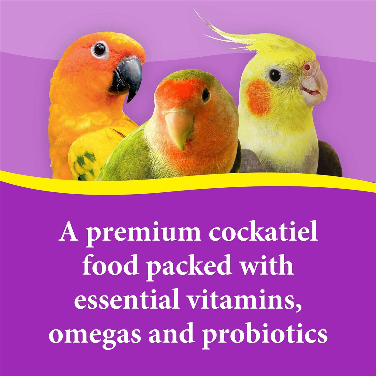 Cockatiel Mix Bird Food Seeds J222737