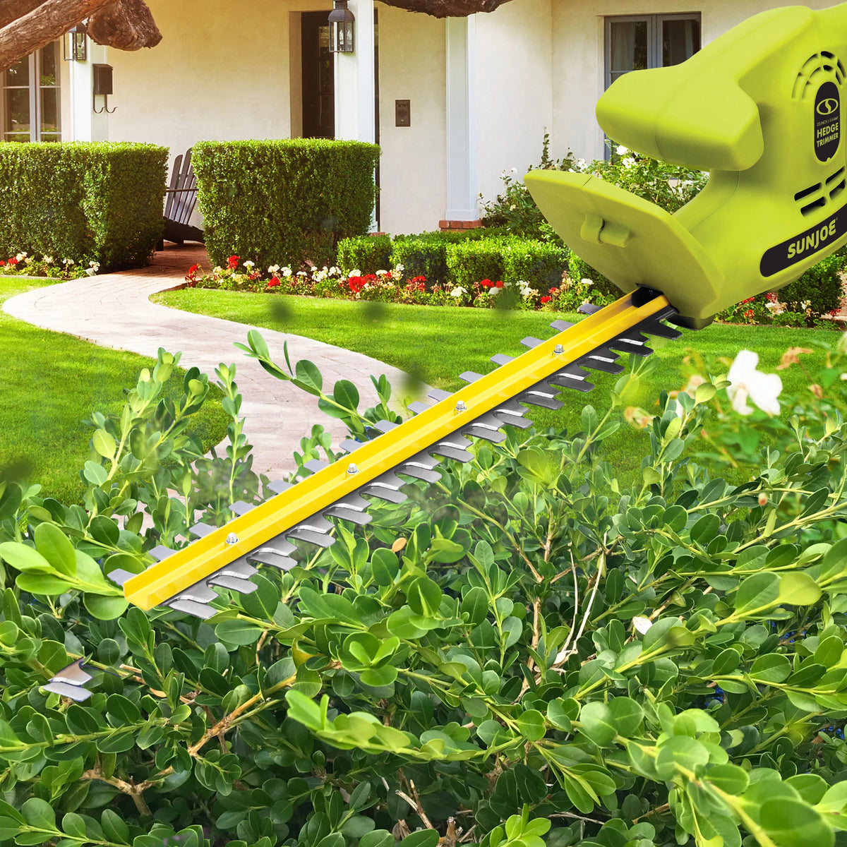Electric 22" Dual-Action Hedge Trimmer P522781