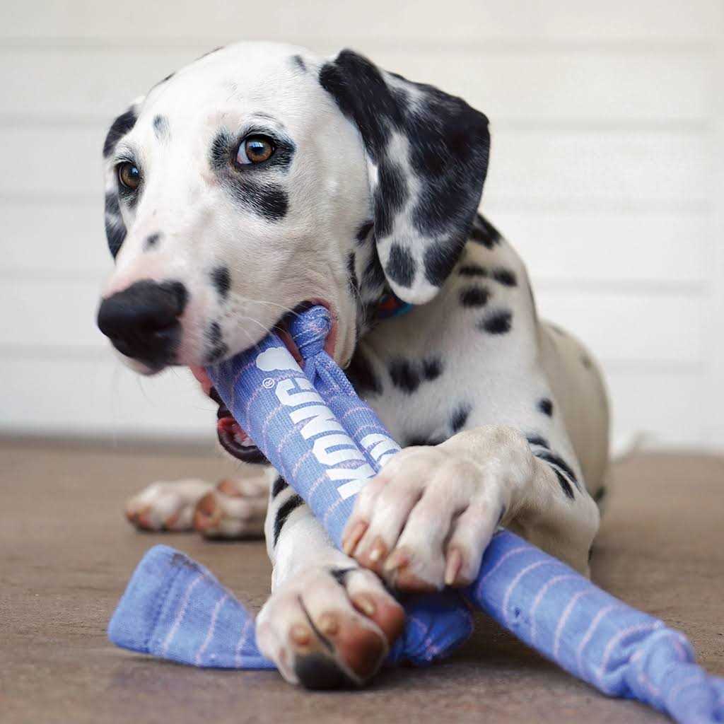 Rope Dog Toy Y2658